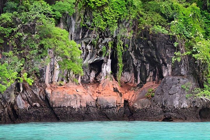 マヤベイとシュノーケリング付きのピピ島スピードボート日帰り旅行