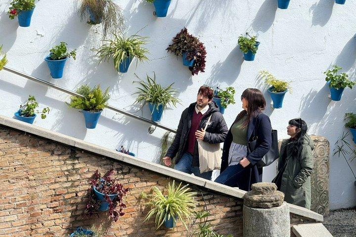電車でセビリアからコルドバのプライベート日帰り旅行