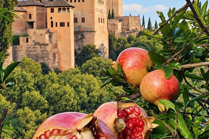 Alhambra Private Tour: Os segredos da Alhambra