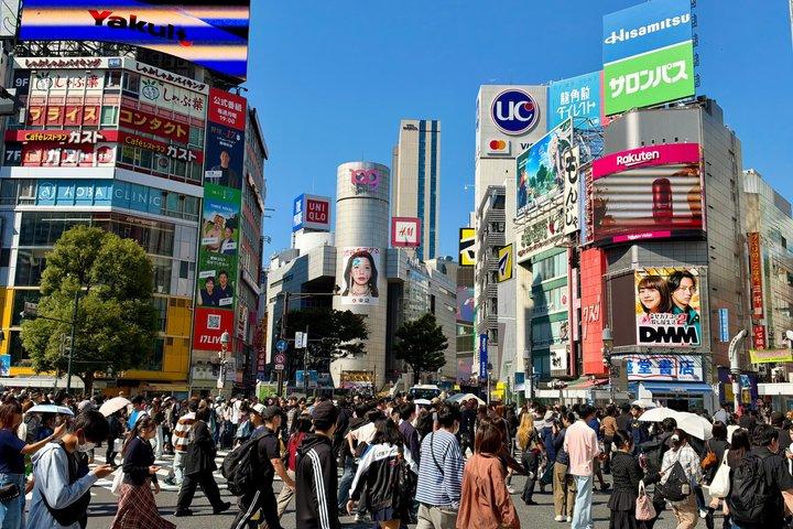 Tokyo Private Half-Day Highlights Tour by Car with Guide