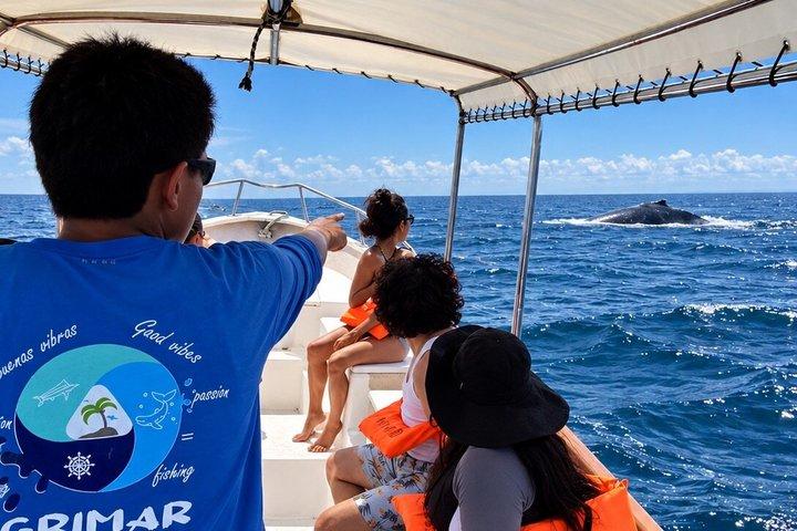 Private Humpback Whale Watching Tour in Punta Mita