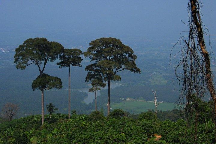 No.1 チェンマイ : Epic Doi Suthep Downhill MTB Adventure
