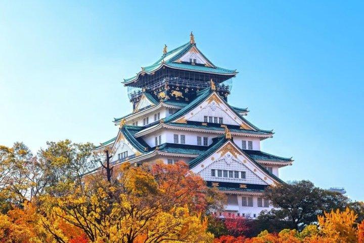 大阪での共同寿司作り