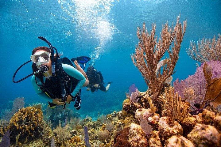 Hurghada Scuba Diving Trip for Certified Divers Multiple Days