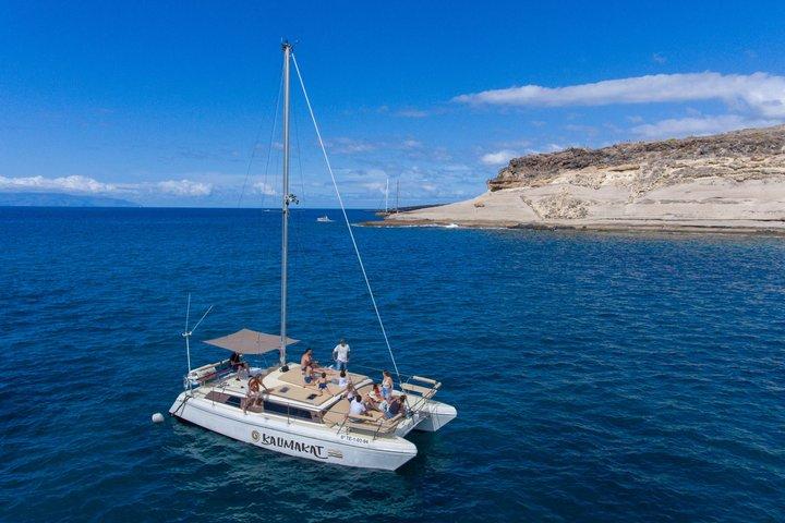 テネリフェ島コスタ・アデヘでのプライベートカタマランチャーター（所要時間3時間）
