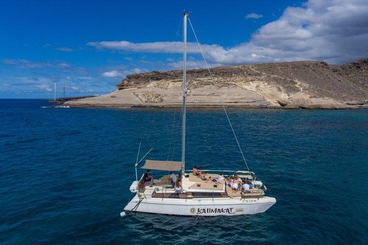テネリフェ島コスタ・アデヘでのプライベートカタマランチャーター（所要時間3時間）