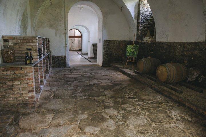 Visite privée d'une journée complète à Kutná Hora avec dégustation de vins