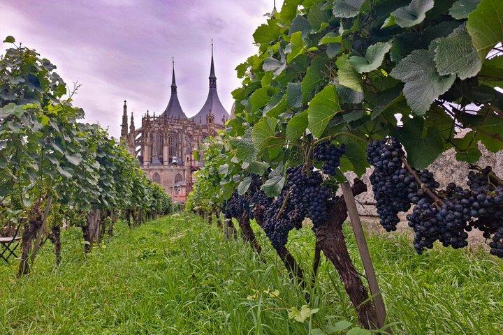Visite privée d'une journée complète à Kutná Hora avec dégustation de vins