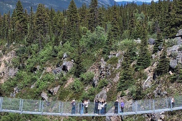 Yukon Suspension Bridge Tour from Skagway