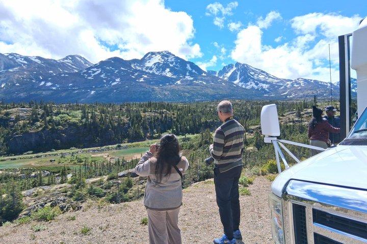 Yukon Suspension Bridge Tour from Skagway