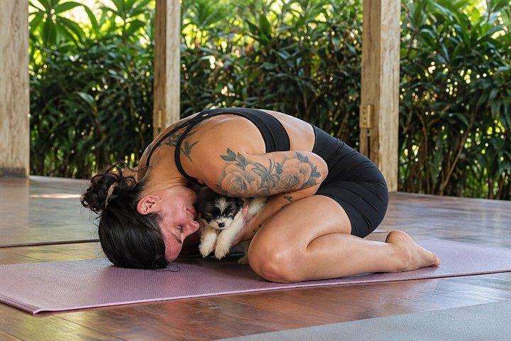 Chiot yoga à Bali Canggu