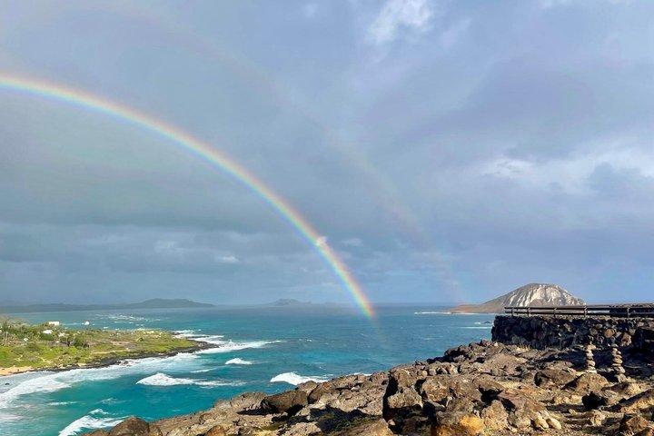 Oahu Circle Island Tour with North Shore, Dole & Byodo-In