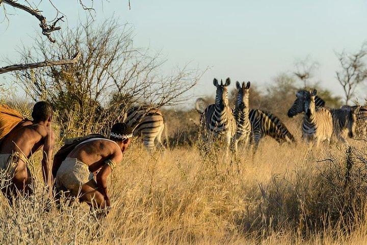 01-Tages-Bushman-Wandererlebnis ab Windhoek
