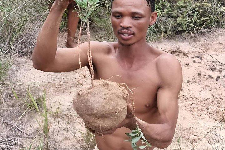 01-Tages-Bushman-Wandererlebnis ab Windhoek