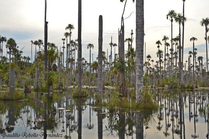 タンボパタのヤクママ湖野生動物観察ツアー
