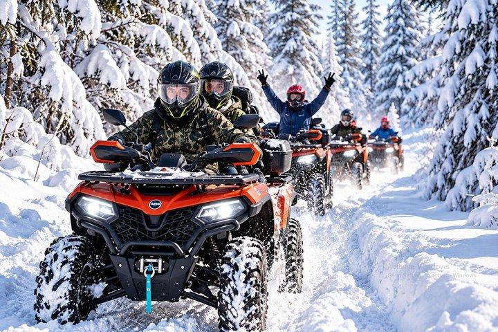 ブカレスト近郊の半日 ATV ファン ツアー