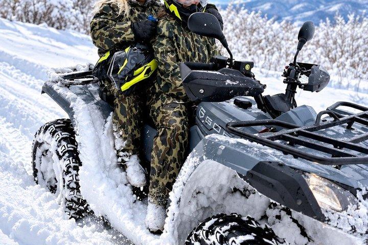 ブカレスト近郊の半日 ATV ファン ツアー