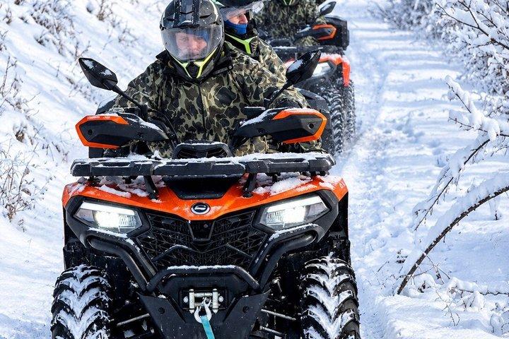 ブカレスト近郊の半日 ATV ファン ツアー