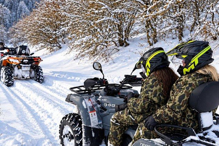 ブカレスト近郊の半日 ATV ファン ツアー