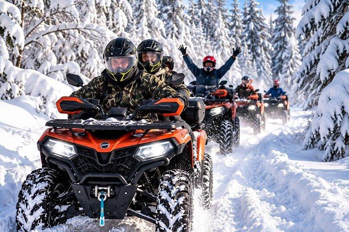 ブカレスト近郊の半日 ATV ファン ツアー