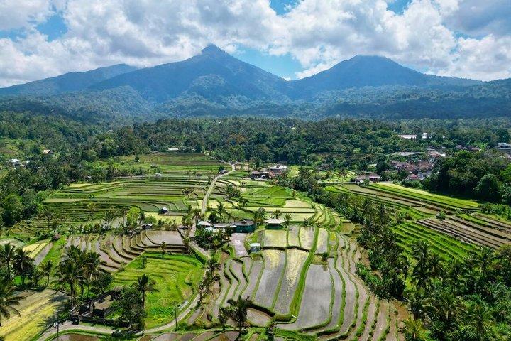 Munduk Highlights : Best of North Bali Private Tour