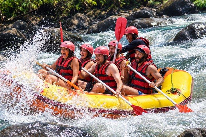 Half Day White Water Rafting Adventure from Bali