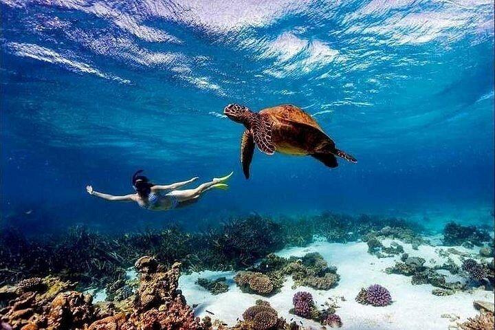 Dag Wasini privat båttur med snorkling och skaldjur