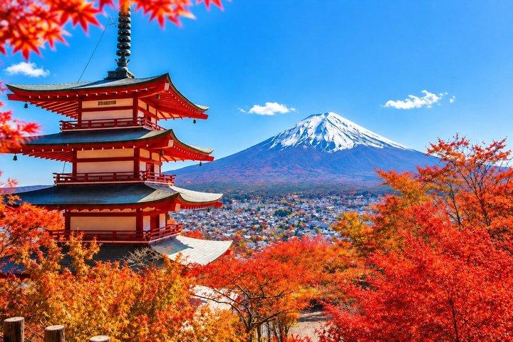 富士山、河口湖、忍野八海 少人数ツアー（送迎付き）