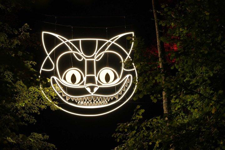 Budapest Lumina Park -Wonderland Light Experience Entry Ticket