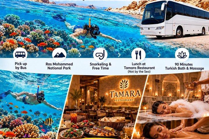 Ônibus para Ras Mohammed com Almoço e Banho Turco de 90 Minutos mais Massagem