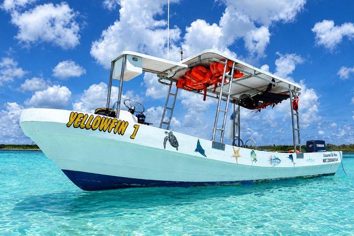 Snorkel a El Cielo in Barca e Tour del Beach Club
