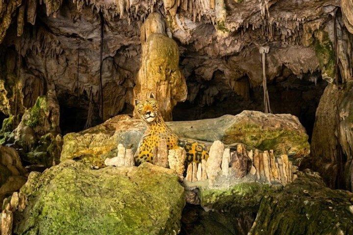 5 hidden cenotes jungle experience