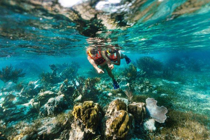 Puerto Morelos Reef Snorkeling, Village Tour and Tequila Tasting