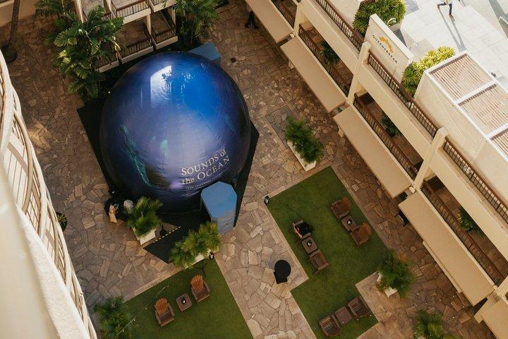 Geräusche des Ozeans Das immersive Erlebnis Waikiki