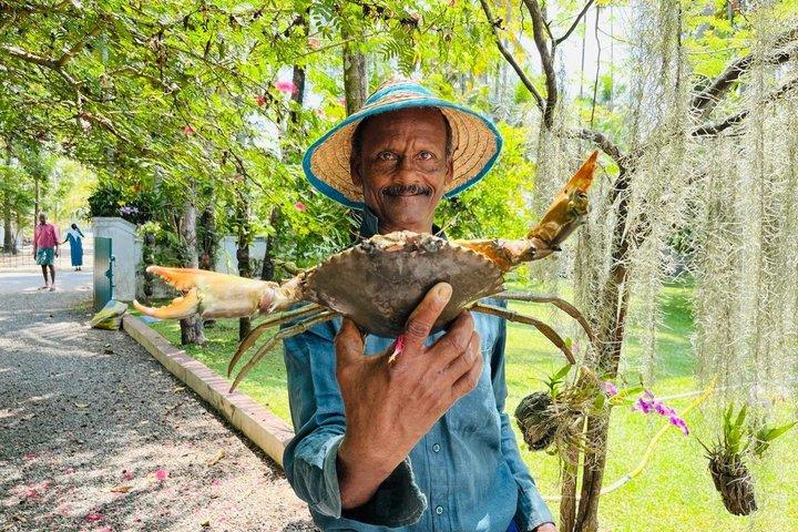 Kochi: Private Tropical Island Village Experience with pick up