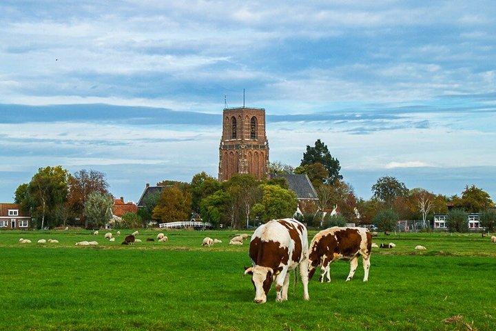 Selbstgeführte E-Bike-Tour durch das holländische Umland
