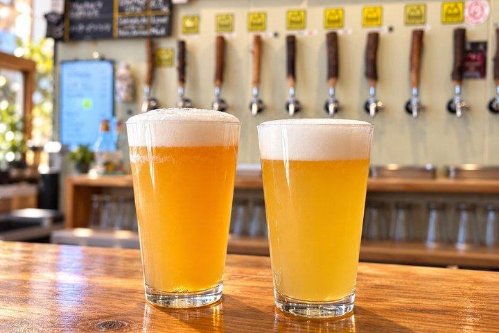 Trackside Craft Beer by Train from Tokyo with Ex-JR Conductor