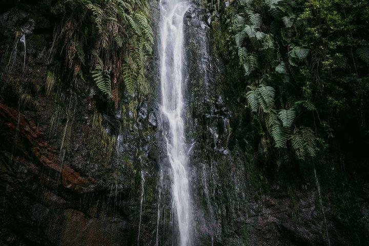 PR6 Levada Wood : Rabaçal - 25 Sources