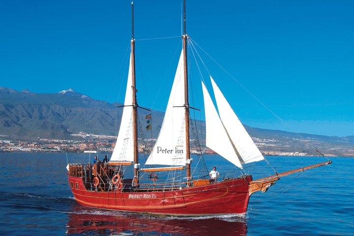 Tenerife: osservazione di balene e delfini con bagno