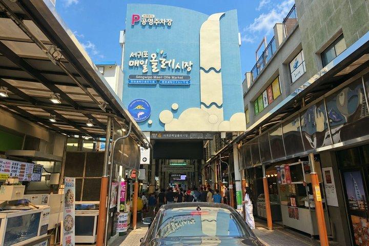 Jeju Cruise Shore Excursion Two Port Route Options