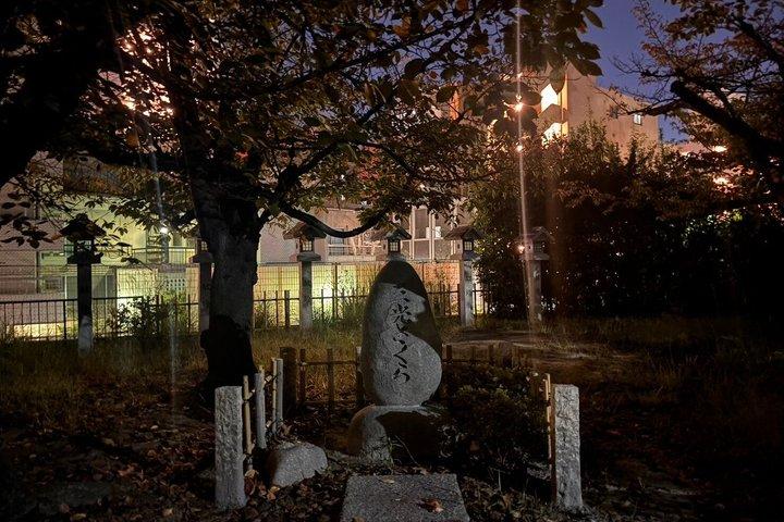 Osaka Ghost Tour Castle Night Walk, Dark History, Curses & Dead