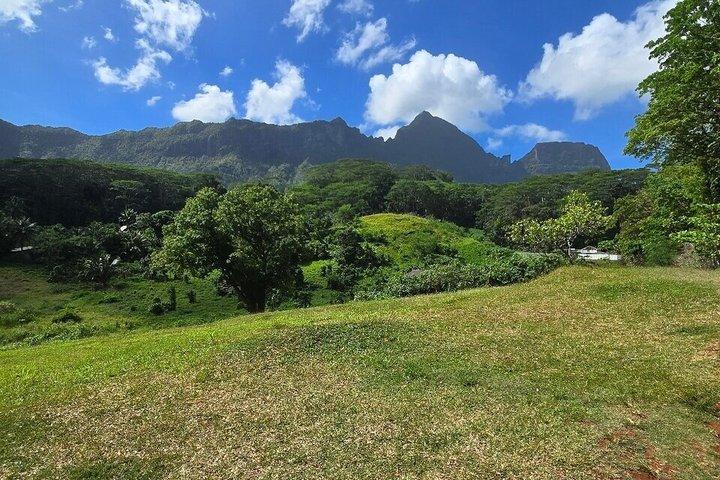 Moorea ATV Abenteuer: Ananasfelder & Aussichtspunkte