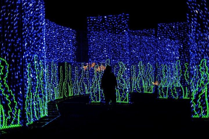 Sofia: Light Festival, City Tour & Bulgarian Folklore Dinner