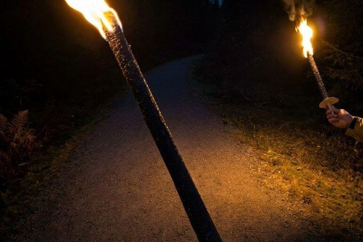 Oslo Forest Torchlight Walk and Chef's Norwegian Campfire Waffles