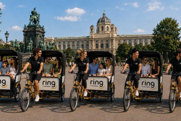 Privé 1,5 uur Rickshaw Tour
