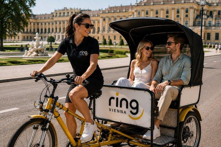 Privé 1,5 uur Rickshaw Tour