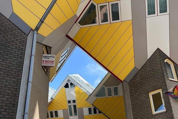 Delft, Rotterdam et Gouda : Excursion privée d'une journée avec déjeuner et fromage