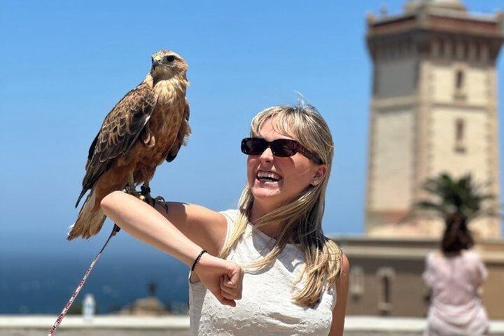 Tangier Hercules Caves, Cap Spartel and Camel Ride