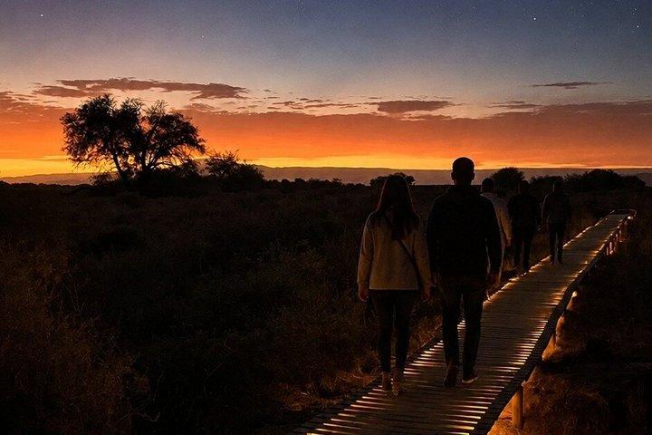 Astronomical Observation Tour in the Atacama Desert