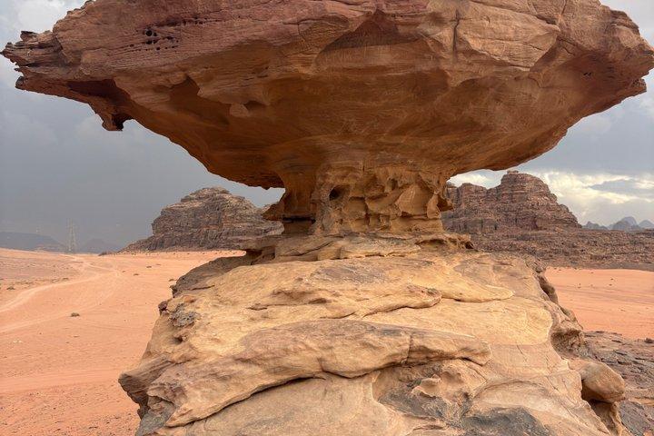 Petra and Wadi Rum Private tour from AMMAN